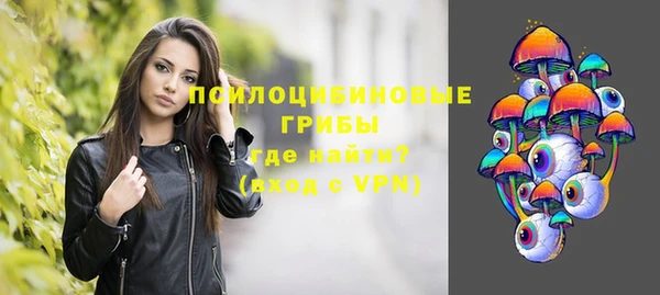 амф Новозыбков