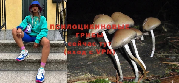 амф Новозыбков