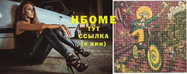 амф Новозыбков