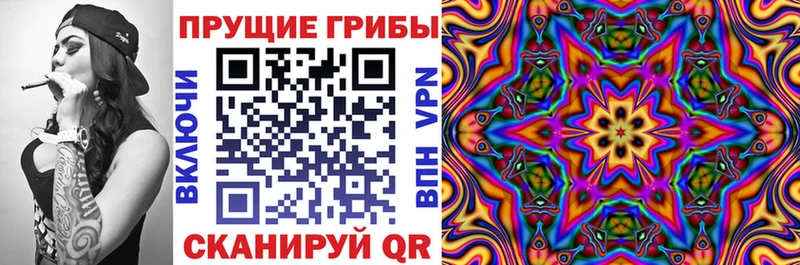Псилоцибиновые грибы Cubensis  Купить закладки  Великий Новгород 